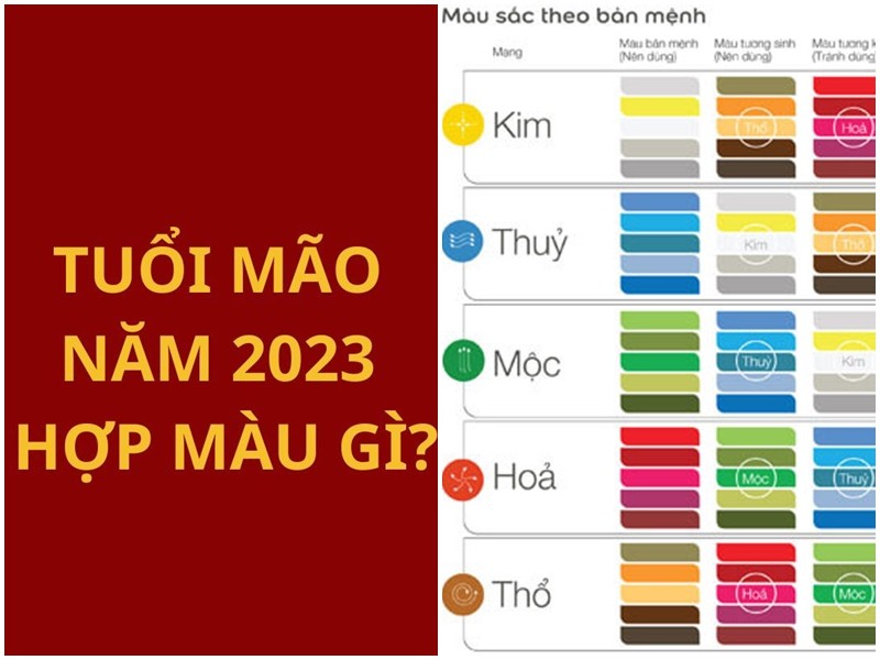 2023-menh-gi-hop-mau-nao-1723316546.jpg