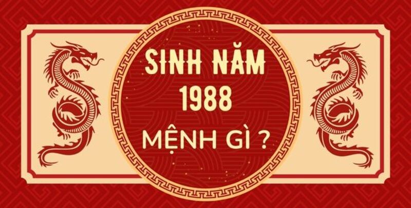 nam-sinh-nam-1988-menh-gi-1723564567.jpg