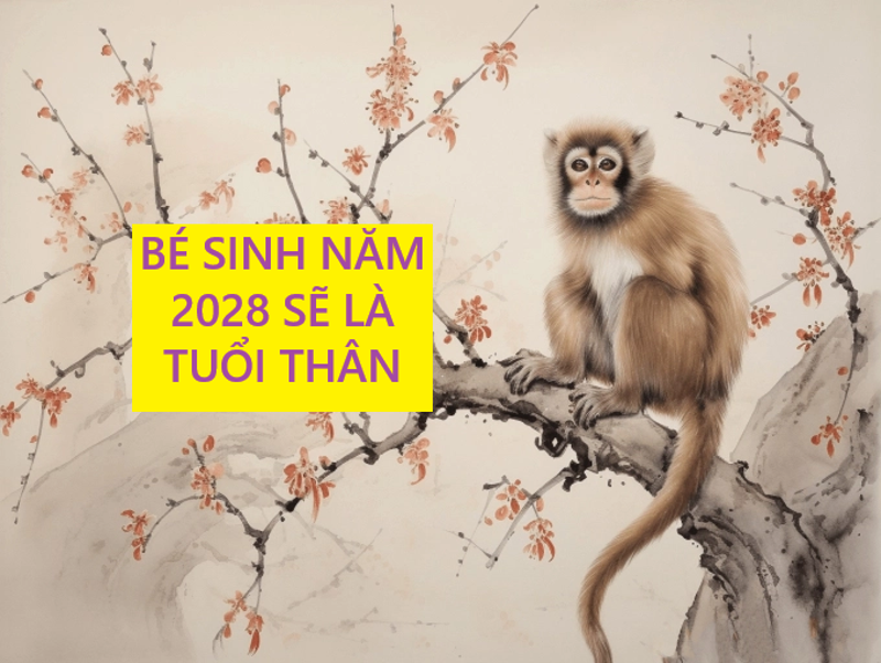 be-sinh-nam-2028-se-thuoc-tuoi-than-1723651084.png