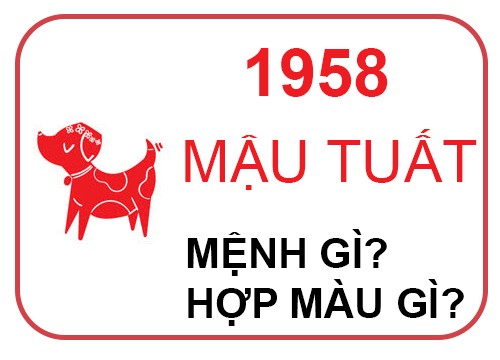 nguoi-sinh-nam-1958-hop-mau-gipng-1724078457.jpeg