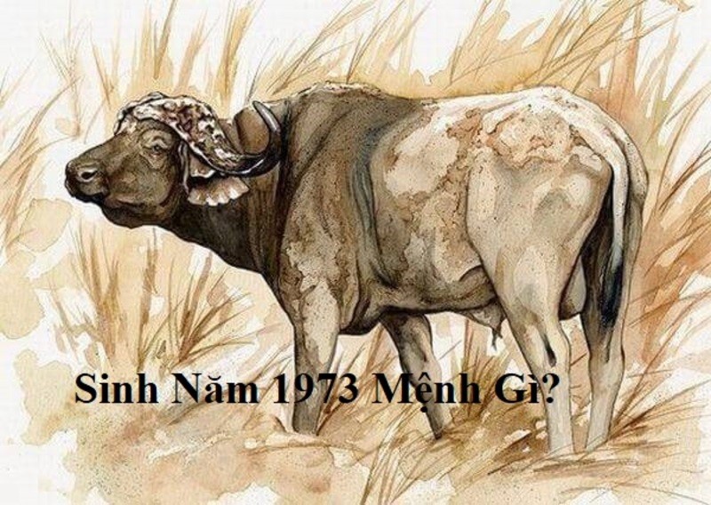 sinh-nam-1973-menh-gi-la-thac-mac-cua-nhieu-nguoi-1724076431.jpg