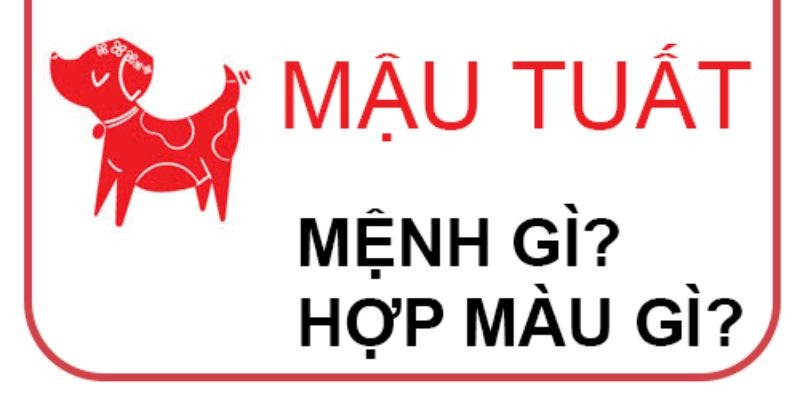 sinh-nam-mau-tuat-hop-mau-gi-1724076670.jpg