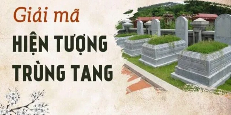 trung-tang-la-gi-giai-ma-1725709469.jpg