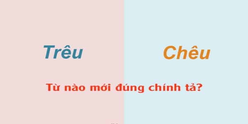 treu-hay-cheu-la-tu-duoc-viet-trong-tu-dien-1725990671.jpg