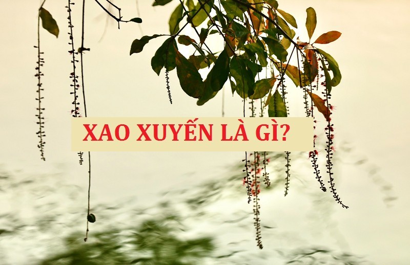 dinh-nghia-xao-xuyen-la-gi-1726283480.jpg