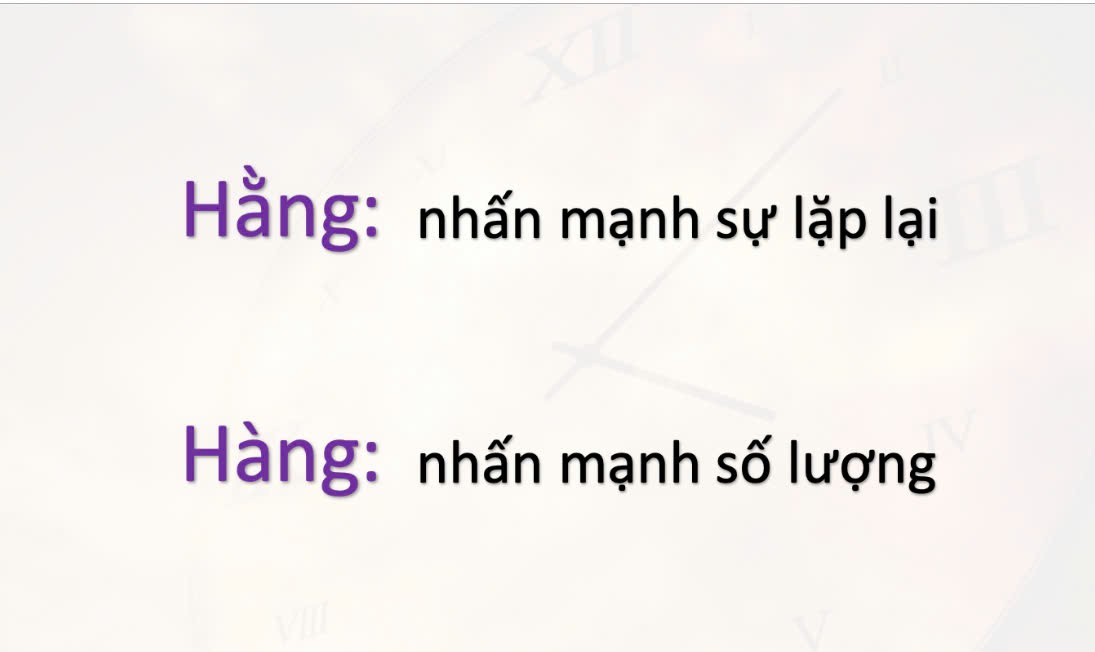 hang-nam-hang-nam1-1726284178.png