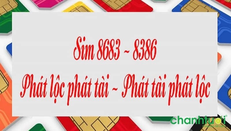 8386-co-y-nghia-la-gi-2-1729825367.jpg