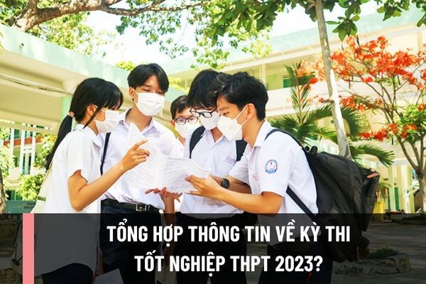 dap-an-de-thi-toan-thpt-quoc-gia-2023-2-1730475250.jpg