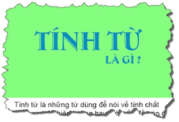 tinh-tu-la-gi-1-1732351090.jpg