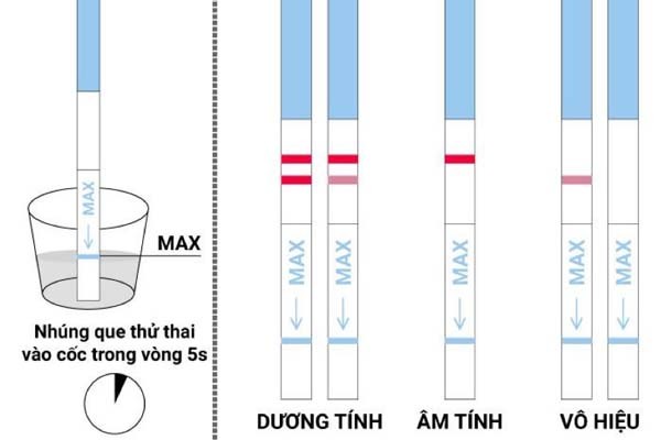 dung-que-thu-thai-khi-nao-moi-chinh-xac-4-1732626048.jpg