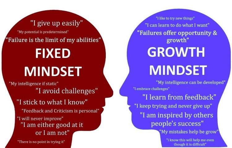 mindset-la-gi-3-1733387963.jpg