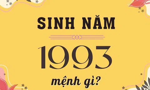 Sinh Năm 1993 Mệnh Gì? Tiết Lộ Tử Vi Trọn Đời Tuổi 1993