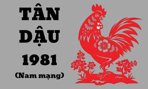 Tử Vi Trọn Đời 1981 Nam Mạng: Sự Nghiệp, Tình Duyên, Tài Lộc + Hóa Giải Vận Hạn