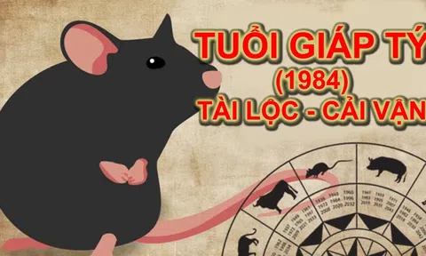 1984 Tuổi Con Gì? Giải Mã Tử Vi & Phong Thủy Cho Người Giáp Tý!