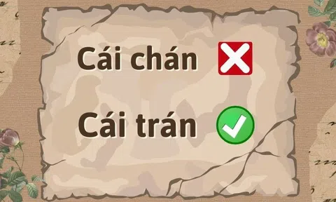 Cái trán hay cái chán: Hiểu đúng và tránh sai chính tả