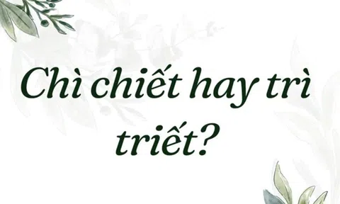 Chì chiết hay trì triết - Bạn có đang dùng từ đúng chưa?