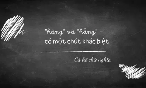 Hằng năm hay hàng năm, ý nghĩa và cách sử dụng chính xác