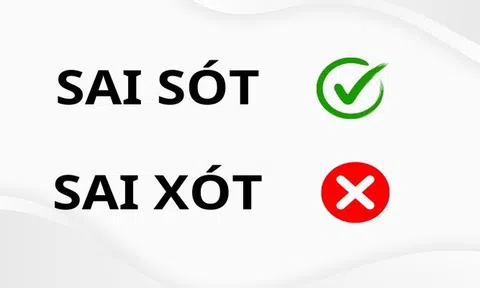 Sai xót hay sai sót: Cách viết đúng trong ngữ pháp Việt Nam