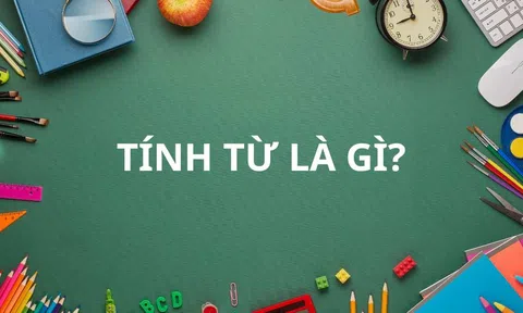 Tính Từ là Gì? Khám Phá Thế Giới Tính Từ "Siêu" Đỉnh