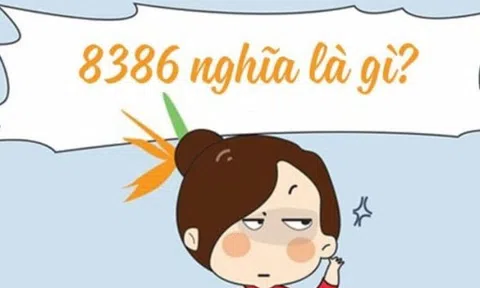 8386 là gì? Giải Mã "Bí Ẩn" & Sức Hút "Cực Mạnh" Của Dãy Số "Thần Thánh" (2023)