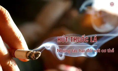 Hút Thuốc Lá Có Hại Như Thế Nào? Sự Thật "Phũ Phàng" & Lời Khuyên Từ Chuyên Gia