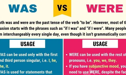 Khi Nào Dùng Was và Were? "Bí Kíp" Phân Biệt & Sử Dụng "Chuẩn Không Cần Chỉnh"!