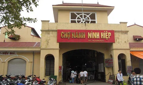 Chợ Ninh Hiệp Ở Đâu? "Bỏ Túi" Bí Kíp Mua Sắm Giá Rẻ "Cực Sốc" (2024)