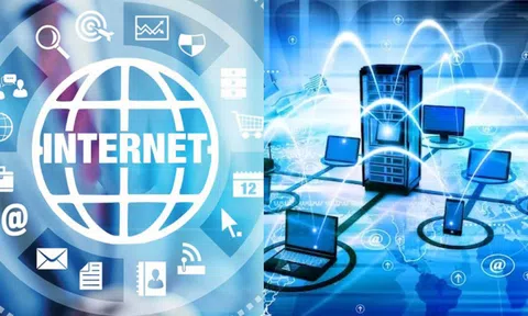 Bật Mí Cách Thông Tin Trên Internet Được Tổ Chức - Bạn Đã Biết Chưa?