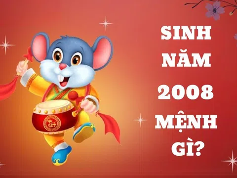 2008 Mệnh Gì? Tìm Hiểu Về Mệnh, Tính Cách và Số Phận Của Người Sinh Năm 2008