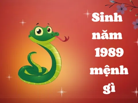 1989 Mệnh Gì? Khám Phá Vận Mệnh và Tính Cách của Người Sinh Năm 1989