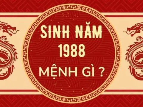 Nam Sinh Năm 1988 Mệnh Gì? Diễn biến cuộc đời xảy ra như thế nào?