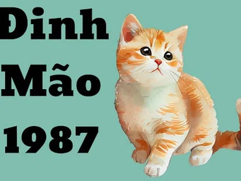 Sinh năm 1987 mệnh gì? Hợp với tuổi nào, màu nào?