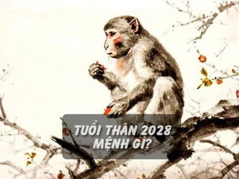 Năm 2028 Mệnh Gì? Dự Báo Tính Cách Của Các Bé Sinh Năm 2028