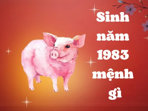 1983 Mệnh Gì? Giải Mã Người Sinh Năm 1983 Có Vận Mệnh Và Tính Cách