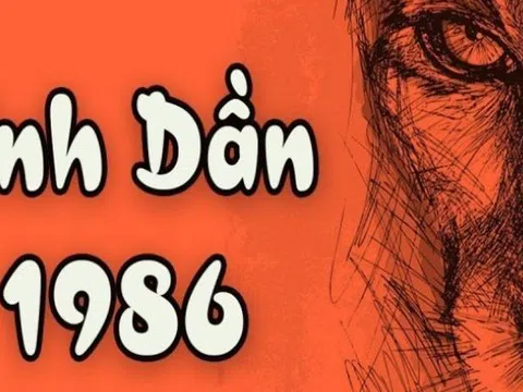 1986 Mệnh Gì? Xem Tuổi Bính Dần Chi Tiết Nhất