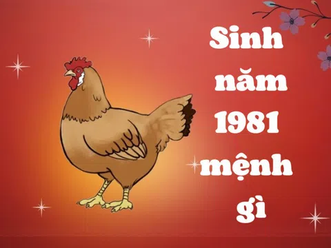 1981 Mệnh Gì? Những Nét Tính Cách Thú Vị Về Tuổi Này Có Thể Bạn Chưa Biết