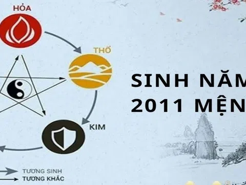 2011 Mệnh Gì? Tìm Hiểu Về Mệnh Của Những Người Sinh Năm 2011