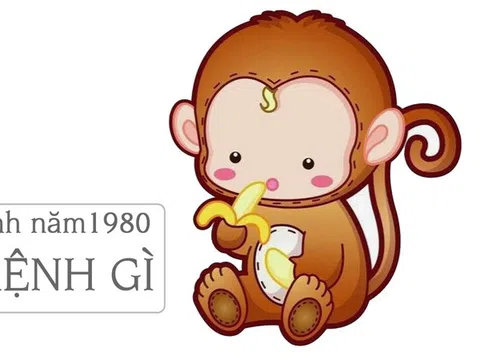 Người sinh 1980 mệnh gì? Bật mí tuổi hợp trong làm ăn và tình yêu