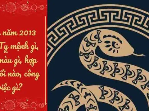 Tuổi Quý Tỵ 2013 Mệnh Gì? Định Hướng Nghề Nghiệp Cho Quý Tỵ 2013