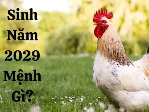 Nam, Nữ Kỷ Dậu 2029 mệnh gì? Hợp với Bố Mẹ Tuổi Nào?