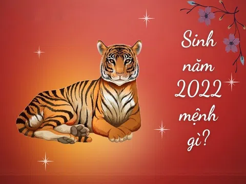 Năm 2022 Mệnh Gì? Tuổi Con Gì Và Những Điều Cần Biết