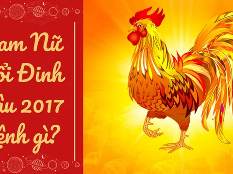 2017 Mệnh Gì? Khám Phá Vận Mệnh, Tính Cách và Cuộc Đời Người Sinh Năm 2017