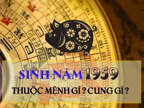 Sinh Năm 1959 Mệnh Gì? Bật Mí Nét Tính Cách Nổi Bật Của Kỷ Hợi 1959?