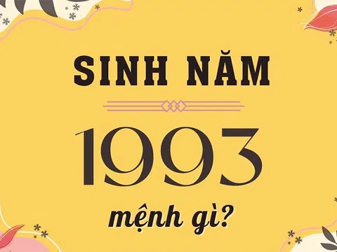 Sinh Năm 1993 Mệnh Gì? Tiết Lộ Tử Vi Trọn Đời Tuổi 1993