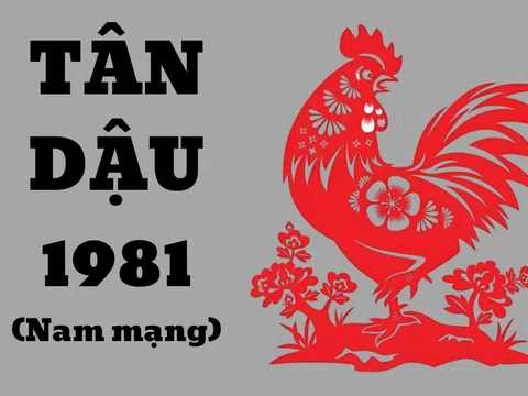 Tử Vi Trọn Đời 1981 Nam Mạng: Sự Nghiệp, Tình Duyên, Tài Lộc + Hóa Giải Vận Hạn