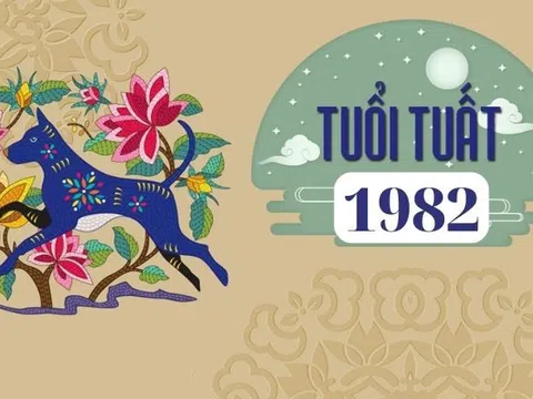 1982 Hợp Với Tuổi Nào? "Bật Mí" Bí Mật Tình Duyên & Sự Nghiệp Của Nhâm Tuất!