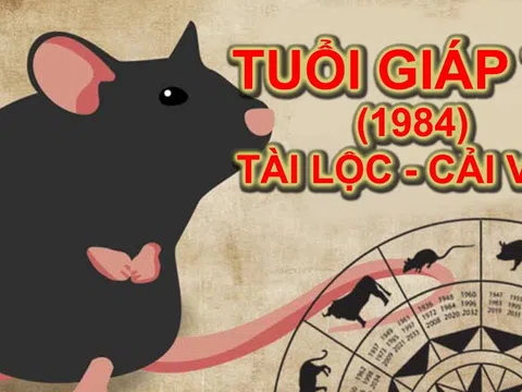 1984 Tuổi Con Gì? Giải Mã Tử Vi & Phong Thủy Cho Người Giáp Tý!