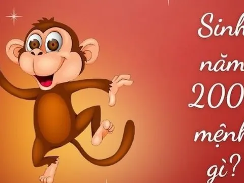 2004 Mệnh gì? Tiết Lộ Những Điều Bí Ẩn Về Phong Thủy