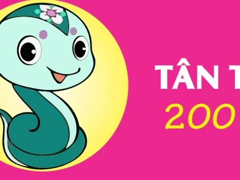 Tân Tỵ 2001 Mệnh Gì? Hợp Màu gì? Làm Nhà Hướng Nào Thì Tốt?