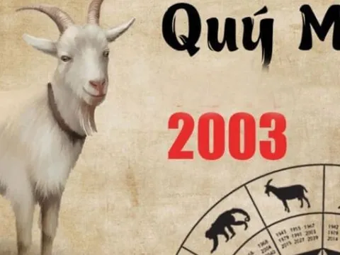 Quý Mùi 2003 Mệnh Gì? Tử Vi Gia Chủ Sinh Năm 2003